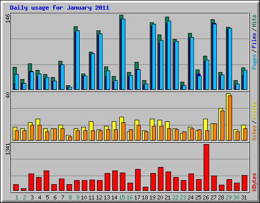 Daily usage for January 2011
