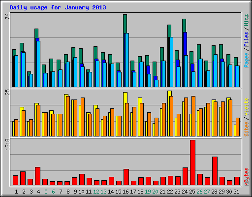 Daily usage for January 2013