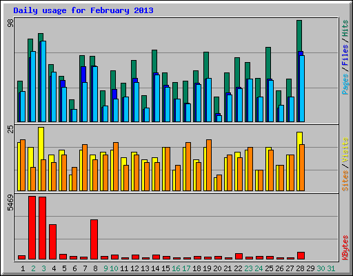 Daily usage for February 2013