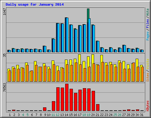 Daily usage for January 2014