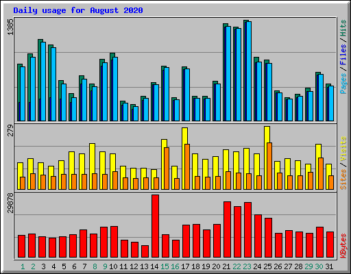 Daily usage for August 2020