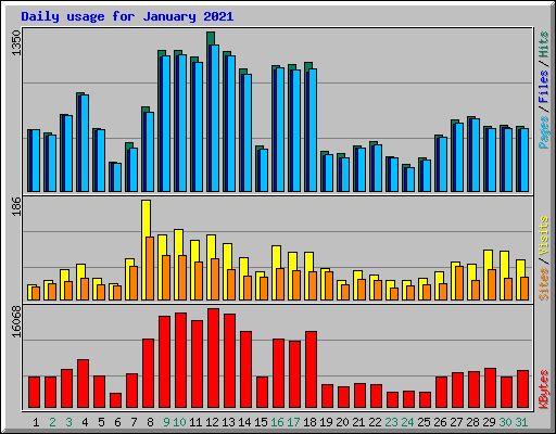 Daily usage for January 2021