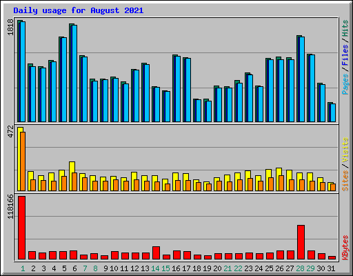 Daily usage for August 2021