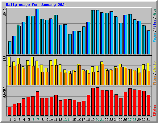 Daily usage for January 2024