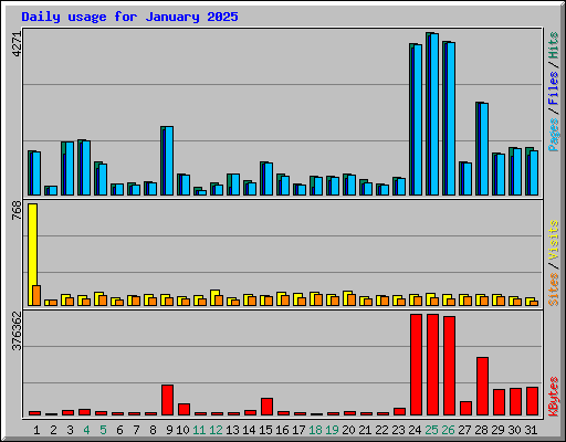 Daily usage for January 2025