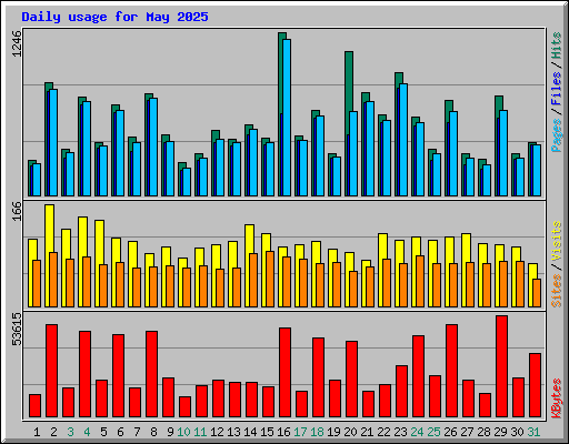 Daily usage for May 2025