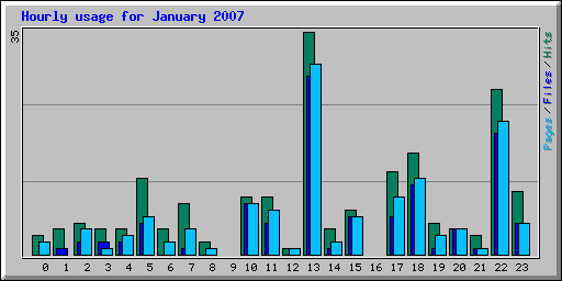 Hourly usage for January 2007