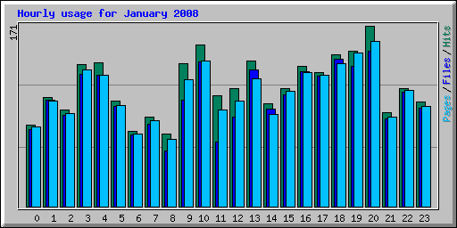 Hourly usage for January 2008