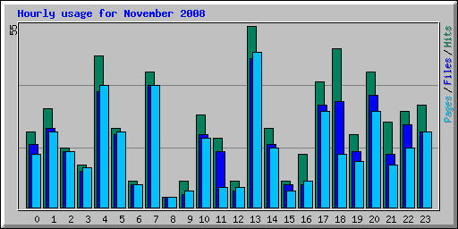 Hourly usage for November 2008