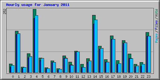Hourly usage for January 2011