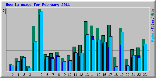 Hourly usage for February 2011