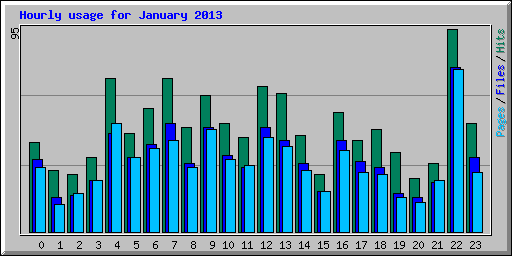 Hourly usage for January 2013