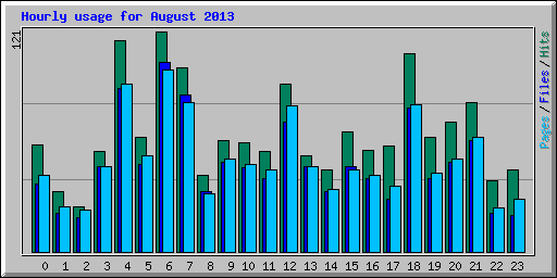 Hourly usage for August 2013