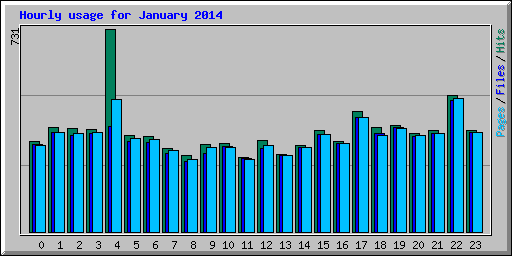 Hourly usage for January 2014