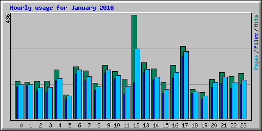 Hourly usage for January 2016