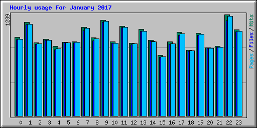 Hourly usage for January 2017