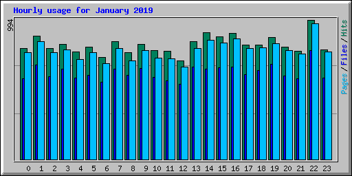 Hourly usage for January 2019