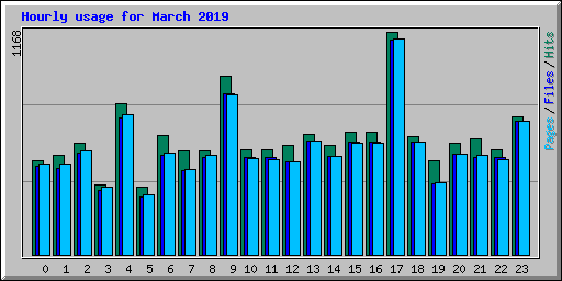 Hourly usage for March 2019