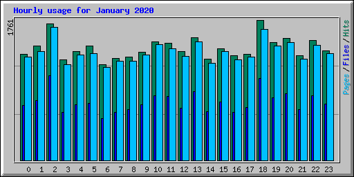 Hourly usage for January 2020