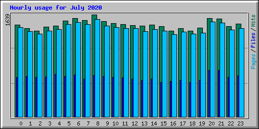 Hourly usage for July 2020