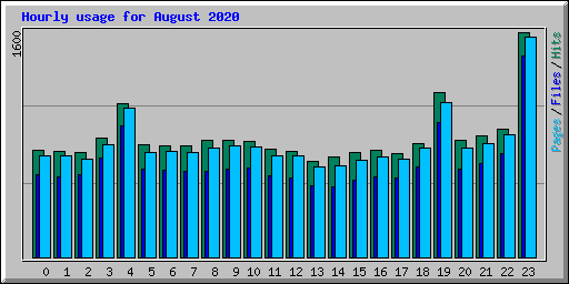 Hourly usage for August 2020