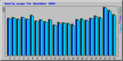 Hourly usage for December 2020