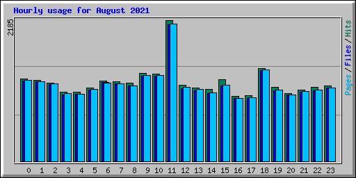 Hourly usage for August 2021