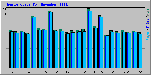 Hourly usage for November 2021