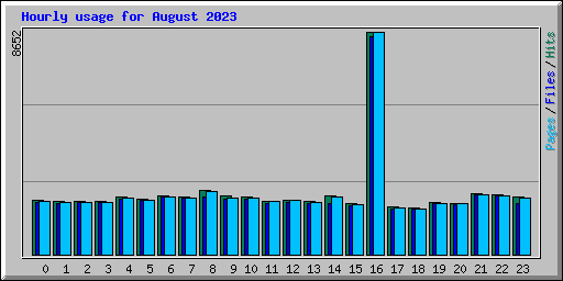 Hourly usage for August 2023