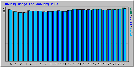 Hourly usage for January 2024