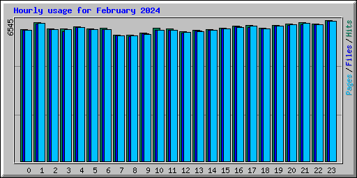 Hourly usage for February 2024