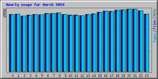 Hourly usage for March 2024