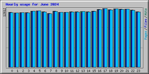 Hourly usage for June 2024