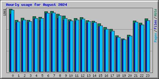 Hourly usage for August 2024