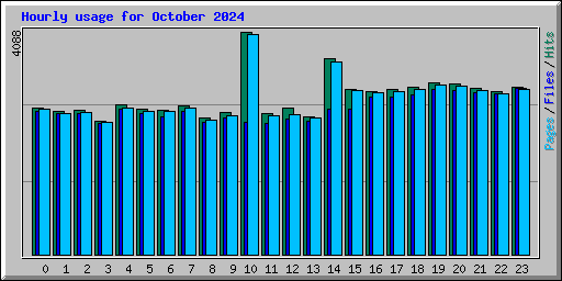 Hourly usage for October 2024