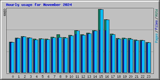 Hourly usage for November 2024