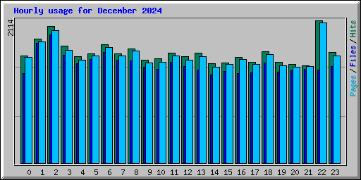 Hourly usage for December 2024