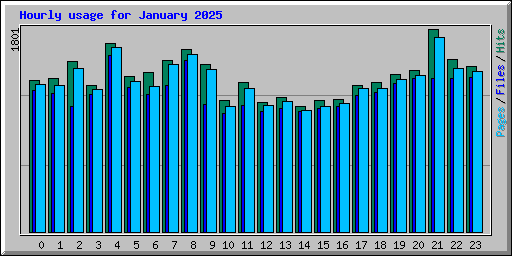 Hourly usage for January 2025