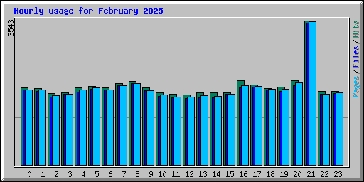 Hourly usage for February 2025