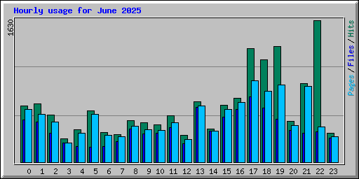 Hourly usage for June 2025