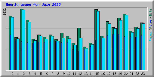 Hourly usage for July 2025