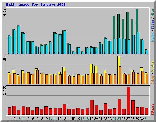 Daily usage for January 2026