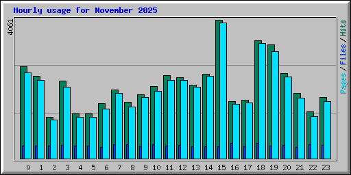 Hourly usage for November 2025