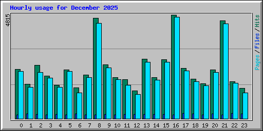 Hourly usage for December 2025