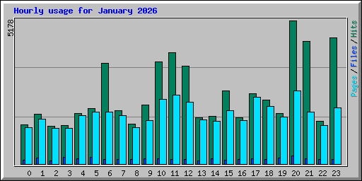 Hourly usage for January 2026